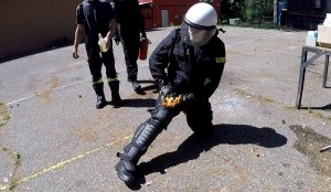 „Firefobia” – szkolenie policjantów OPP/SPPP