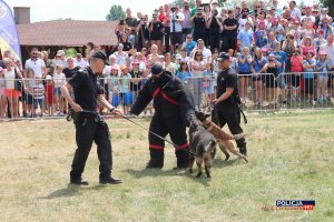 &quot;Bezpieczna kąpiel&quot; w Pułtusku