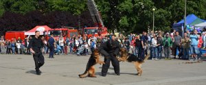 XVII edycja festynu &quot;Niebiescy Dzieciom&quot; już za nami