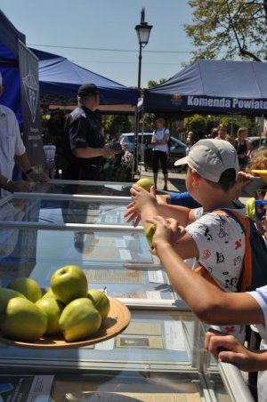 Piknik „Nowa niebieska historia - Sto Lat Odzyskania Niepodległości&quot;