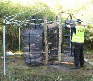 policjant w trakcie zabezpieczania plantacji konopi