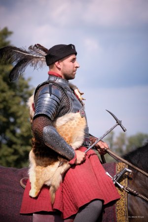 Obchody Święta Wojska Polskiego