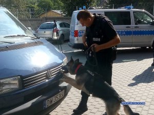 Głogowscy policjanci otrzymali psa służbowego do wykrywania narkotyków