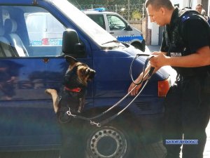 Głogowscy policjanci otrzymali psa służbowego do wykrywania narkotyków