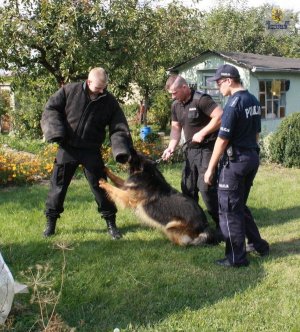Policjanci z Malborka spełnili marzenie Jakuba