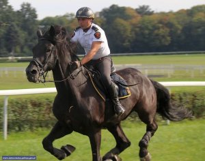 III Międzynarodowe Zawody Patroli Konnych