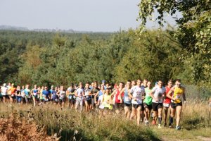 XV Bieg Przałajowy im. sierż. Grzegorza Załogi