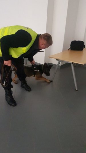 policjant z psem w trakcie szkolenia