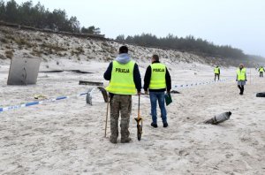 Zachodniopomorscy policjanci podczas ćwiczeń Anakonda 18