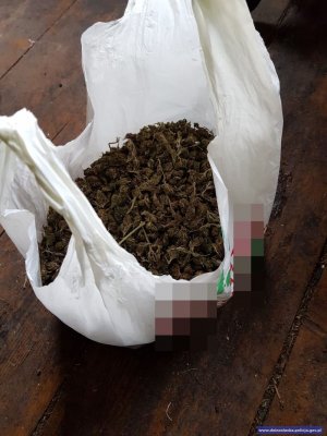 zabezpieczona przez policjantów marihuana