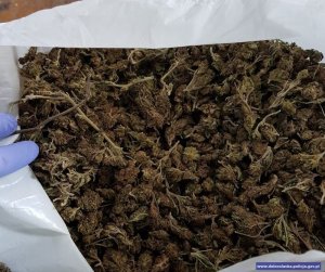 zabezpieczona przez policjantów marihuana