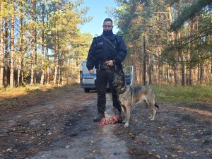 przewodnik - mł. asp. Grzegorz Krajewski wraz z Izzy - owczarkiem belgijskim ze świnoujskiej komendy.