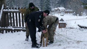 Międzynarodowe zawody przewodników psów służbowych