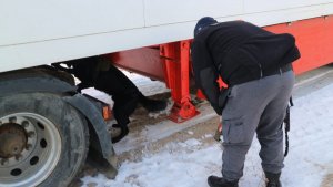 szkolenie psów policyjnych