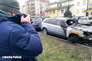 Zatrzymany mężczyzna, podpalone kosze na śmieci i samochodowy