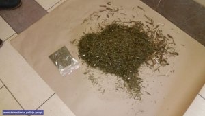 zabezpieczona marihuana