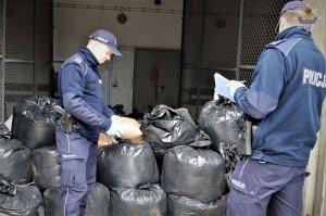 Policjanci ujawnili i zabezpieczyli 1300 kg nielegalnego tytoniu