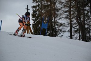 SLALOM GIGANT