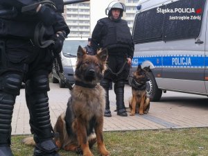 Policjanci zabezpieczają mecz piki nożnej w Jastrzębiu-Zdroju