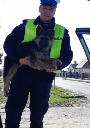 policjant ze znalezionym szczeniakiem