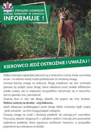 Kierowco jedź ostrożnie i uważaj na zwierzynę leśną