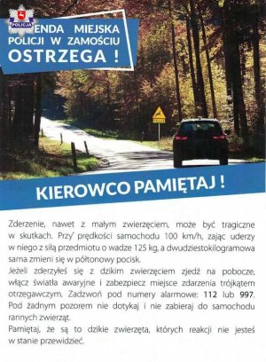 Kierowco jedź ostrożnie i uważaj na zwierzynę leśną