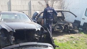 policjant i części samochodów