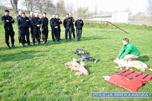 Ratownik weterynaryjny pokazuje jak prawidłowo udzielić pierwszej pomocy psu. Policjanci obserwują działania ratownika