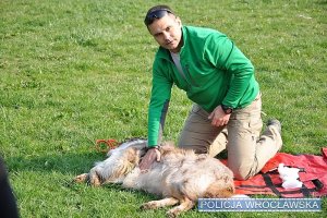 Ratownik pokazuje jak zbadać prawidłową pracę narządów wewnętrznych