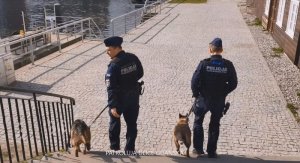 dwaj Policjanci w trakcie patrolu z psami służbowymi