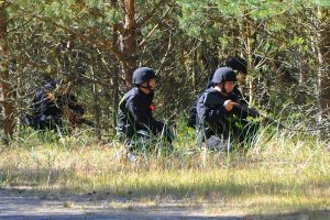 Policjanci z bronią długą przy leśnej drodze.