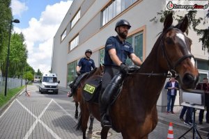 dwaj policjanci na koniach, w tle radiowóz