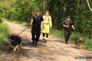 Na zdjęciu tzw. szybka trójka na ścieżce leśnej podczas poszukiwań. Dwóch przewodników z psami oraz ratownik.