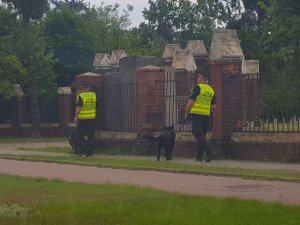 dwaj przewodnicy psów służbowych straży miejskiej patrolują tern