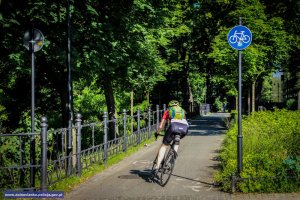 Rowerzysta jadący rowerem drogą dla rowerów