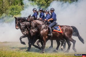 Dzień otwarty Centrum Szkolenia Policji w Legionowie – pokaz sekcji konnej