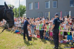 Dzień otwarty Centrum Szkolenia Policji w Legionowie – pokaz sekcji konnej