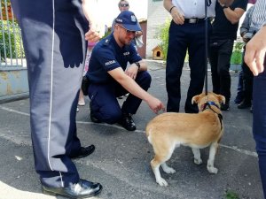 policjanci z adoptowanym psiakiem