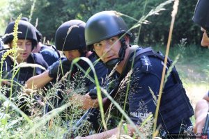 działania w terenie - policjanci ukrywają się  w trawie