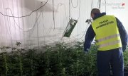 policjant podczas zabezpieczenia uprawy marihuany