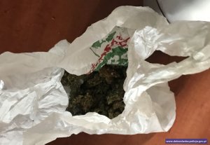 Marihuana w torbie foliowej