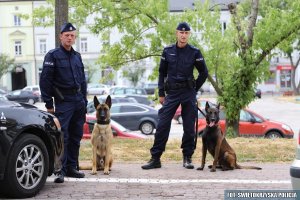 dwóch umundurowanych policjantów z psami służbowymi