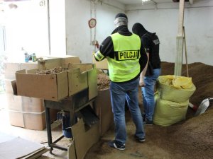 Dwaj policjanci sprawdzają miejsce w którym znajdywała się fabryka nielegalnych papierosów.
