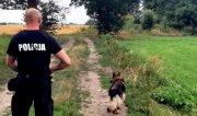 policjant z psem służbowym na polnej drodze