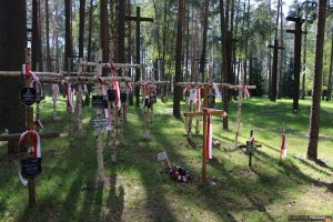 4. Uroczystości na cmentarzu w Miednoje - brzozowe krzyże