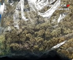 Zdjęcie kolorowe, przedstawiające zabezpieczoną mirihuanę