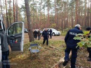 ludzie biorący udział w poszukiwaniach