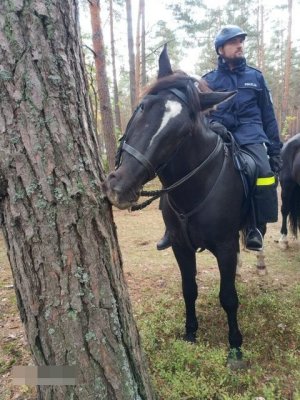 policjantka na koniu