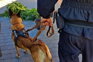 policjant z psem służbowym