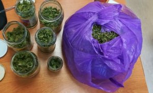 Zielony susz roślinny - marihuana zabezpieczona przez policjantów, znajdująca się w słoikach i fioletowym worku